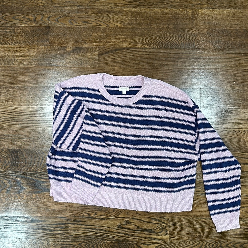 Cropped Pilcro Sweater